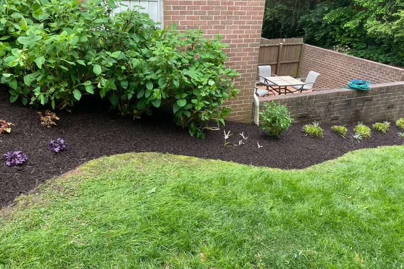 Mulch refresh with crisp bed edging in Fairfax