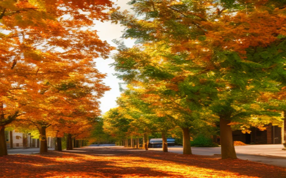 Fall Leaves In Fairfax, Virginia