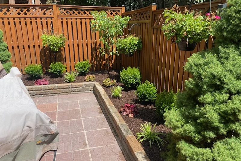New plantings for a Fairfax County townhouse